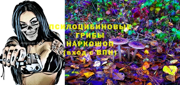 а пвп мука Баксан