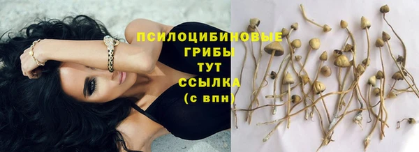 эйфоретик Балабаново