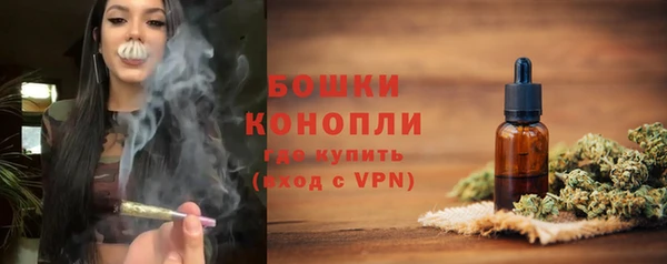 дмт Тында