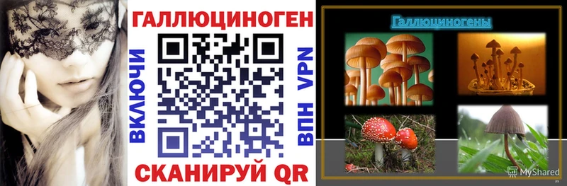 Купить где  Белая Холуница  Псилоцибиновые грибы мицелий 